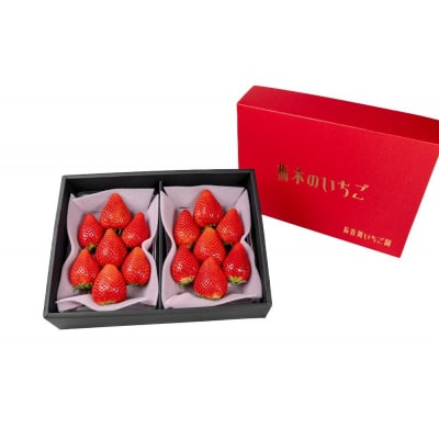 甘くて大きい!長谷川いちご園 スカイベリー & とちあいか セット 計4パック