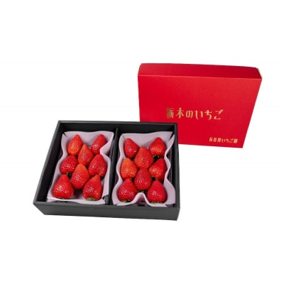 甘くて大きい!長谷川いちご園 スカイベリー & とちあいか セット 計4パック