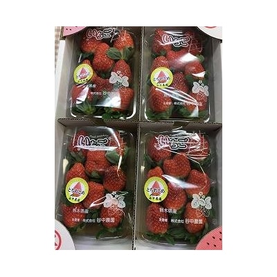 【2025年12月下旬～発送】甘みと酸味の競演 谷中農園のとちおとめ いちご【約270g×4パック】
