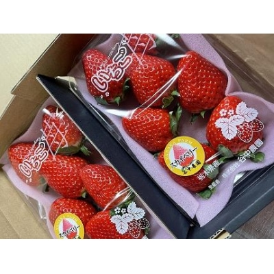 【2025年12月下旬～発送】谷中農園の スカイベリー  いちご【約280g×2パック】