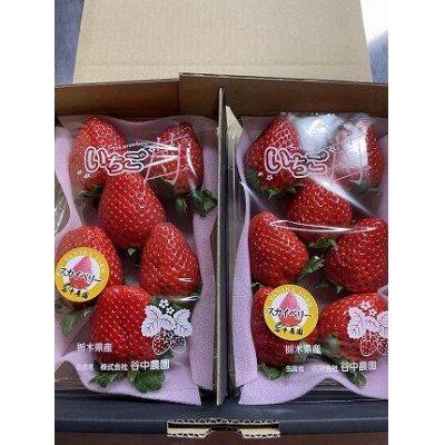 【2025年12月下旬～発送】谷中農園の スカイベリー  いちご【約280g×2パック】