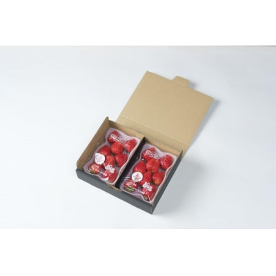 【2025年12月下旬～発送】谷中農園のいちご「 とちあいか 」約280g×2パック