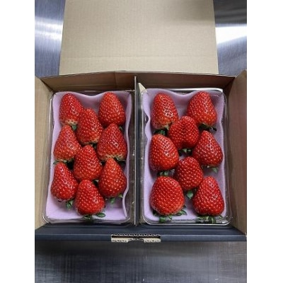 【2025年12月下旬～発送】谷中農園のいちご「 とちあいか 」約280g×2パック