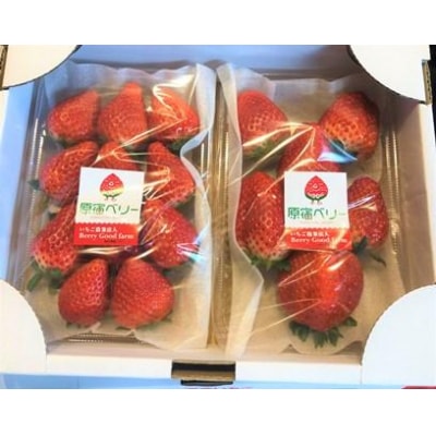 ≪2026年2月発送≫【数量限定!】「完熟 朝摘み」原宿ベリー  約250g×2パック | いちご 