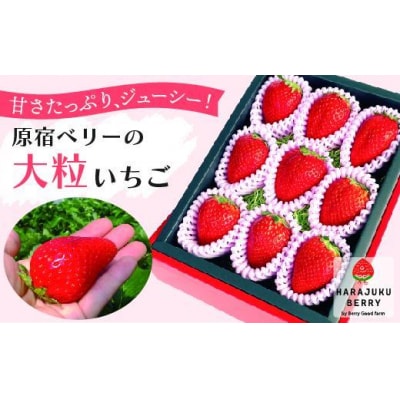 ≪2026年2月発送≫原宿ベリーの「大粒いちご」