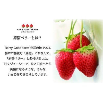 ≪2026年2月発送≫原宿ベリーの「大粒いちご」