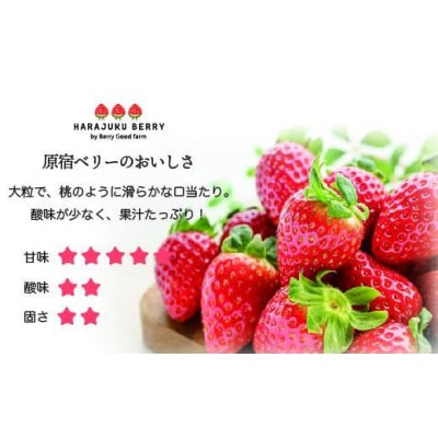 ≪2026年2月発送≫原宿ベリーの「大粒いちご」
