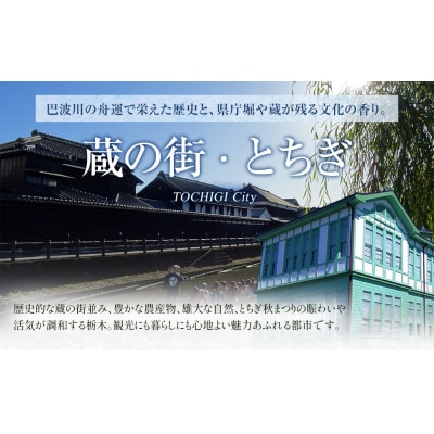 はるオンパックスミニ (10枚入×12パック)120枚セット