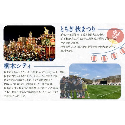 貼らないオンパックスミニ (10枚入×12パック)120枚セット