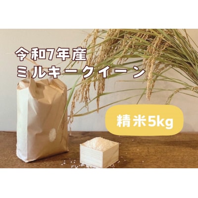 【令和7年産】栃木市岩舟町産ミルキークイーン5kg【精米】