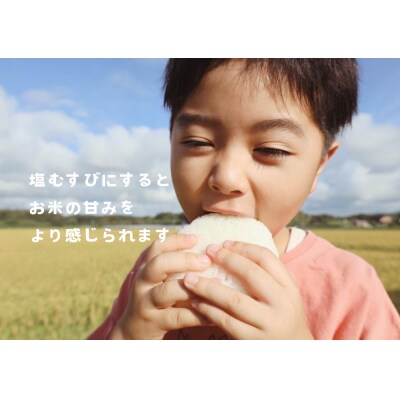 【令和7年産】栃木市岩舟町産ミルキークイーン10kg【精米】