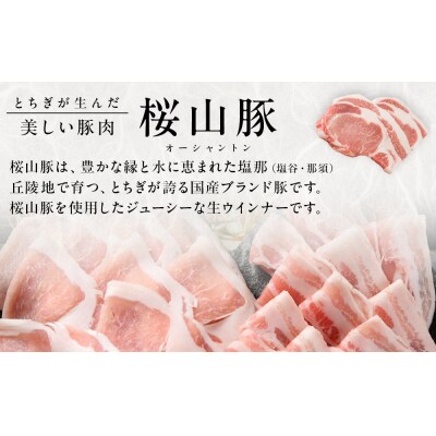 桜山豚生ソーセージセット