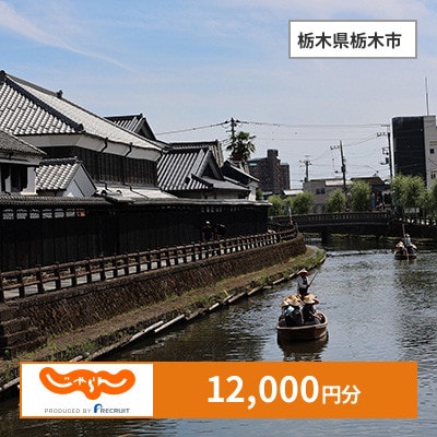 【じゃらんふるさと納税クーポン】 栃木県栃木市でつかえる12,000円 クーポン