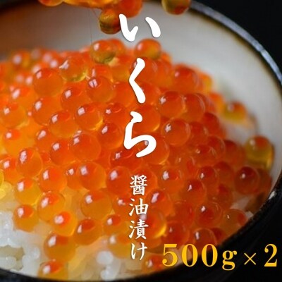 いくら 1kg - 魚卵の人気商品・通販・価格比較 - 価格.com