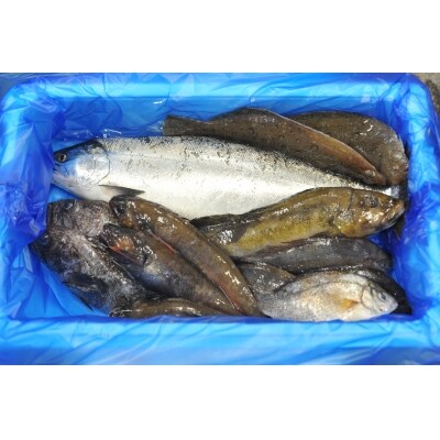 ＜新鮮・産地直送＞普代の玉手箱【魚介詰め合わせ】