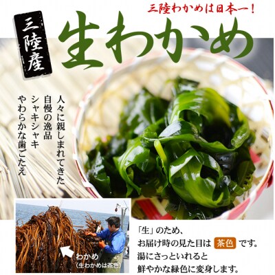 北三陸産 早どりワカメ 1kg 生わかめ わかめしゃぶしゃぶ