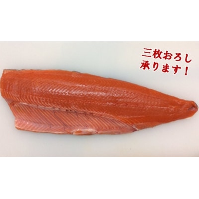 【期間限定】 岩手三陸産 本マス まるごと1尾 約2kg (サクラマス) 切身・三枚おろしも承ります