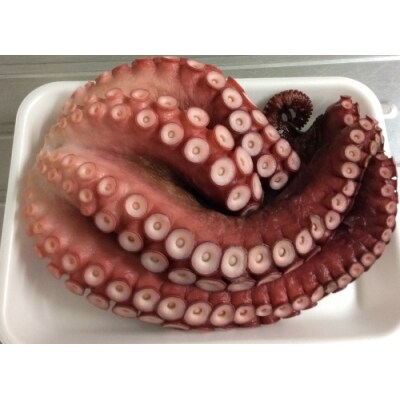 岩手県北三陸産 蒸したこ足 約1kg お礼品詳細 ふるさと納税なら さとふる 岩手県北三陸産 蒸したこ足 約1kg お礼品詳細 ふるさと納税なら さとふる
