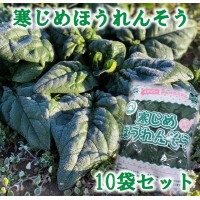 【先行受付】 寒じめほうれんそう 約210g×10袋 【11月下旬頃～2月下旬発送予定】 野菜