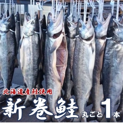 【年内発送】 北海道産鮭使用 寒風干し 新巻鮭 1本 数量限定 海鮮 魚介 魚介類  海の幸 海産物