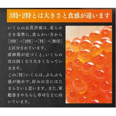 三陸産 いくら醤油漬け 500g プチプチ感強め。