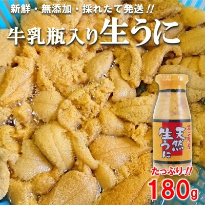 【期間限定(延長) 寄付金額改定】 北三陸産 天然生うに180g×1本(牛乳瓶入りウニ) うに瓶詰め