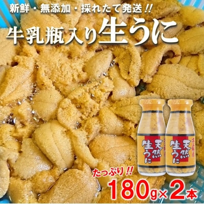 【期間限定 寄付金額改定】 北三陸産 天然生うに 180g×2本 (牛乳瓶入りウニ) うに瓶詰め