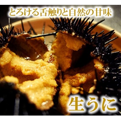 【期間限定】 牛乳瓶入りウニ(生うに)180g×2本【ミョウバン不使用】【塩水】