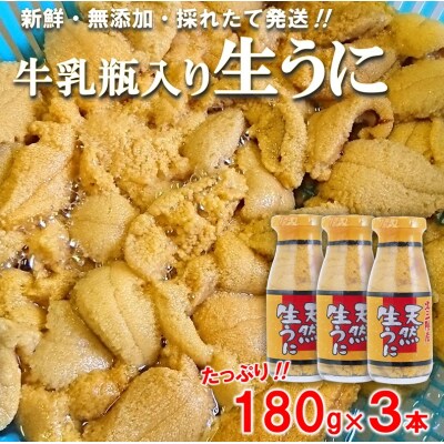 【期間限定 寄付金額改定】 北三陸産 天然生うに 180g×3本 (牛乳瓶入りウニ) うに瓶詰め