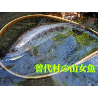 渓流向け木製ルアー【Yamase50s】 クマタニトラスト