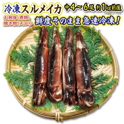 冷凍スルメイカ 約1kg 真空パックでお届け!