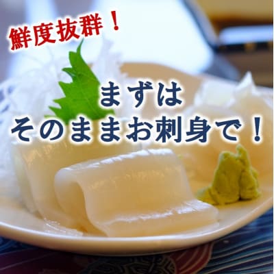 冷凍スルメイカ 約1kg 真空パックでお届け!