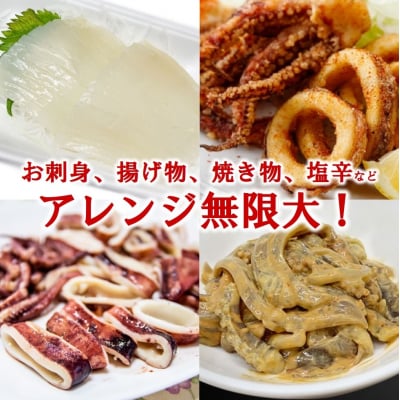 冷凍スルメイカ 約1kg 真空パックでお届け!