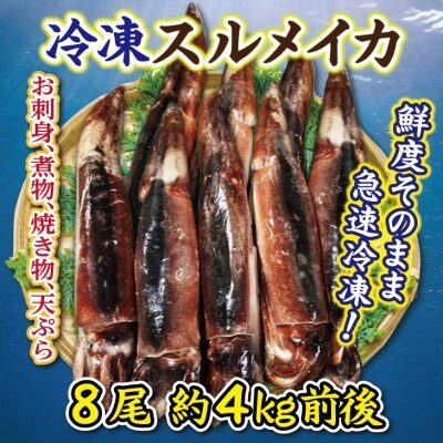 冷凍スルメイカ特大8尾 (約4kg前後)