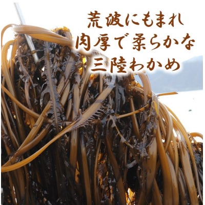 三陸水産 春感冷凍生わかめ200g×3袋