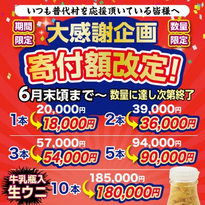 【期間限定 寄付金額改定】 牛乳瓶入り 生うに 180g×5本セット 【ミョウバン不使用】 塩水 