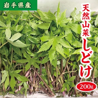 山菜 しどけ 200g 天然 数量限定
