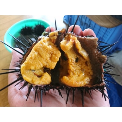 【漁師厳選】普代産 生うに180g 牛乳瓶入り【ミョウバン不使用】【塩水】 三陸