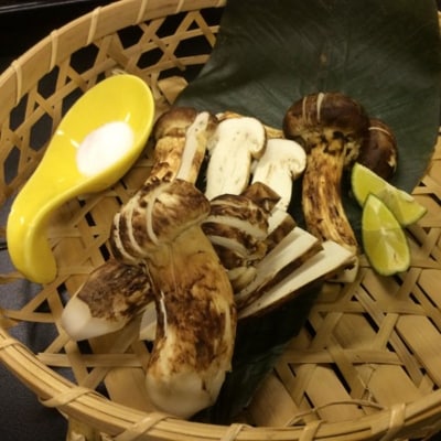 【期間限定】岩手県産 天然松茸 約200g 松茸 訳あり 小さめ コロ 国産