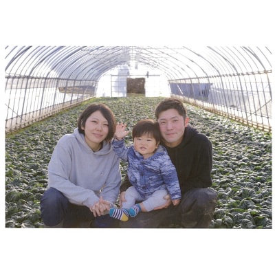 【先行受付】 新鮮 朝採れブロッコリー Mサイズ以上7玉 野菜 サラダ