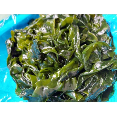 寒締めほうれん草&早どりわかめ 三陸普代しゃぶしゃぶセット 【1月下旬頃～発送予定】