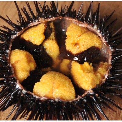 三陸産 天然生うに 先行受付 180g×1本 ミョウバン不使用 瓶詰 令和5年7月～発送開始