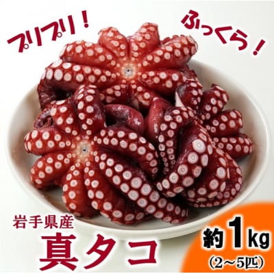 【年内発送】 北三陸産 蒸し真タコ丸ごと約1kg (2匹～5匹) たこ刺身 たこ焼き 年内お届け
