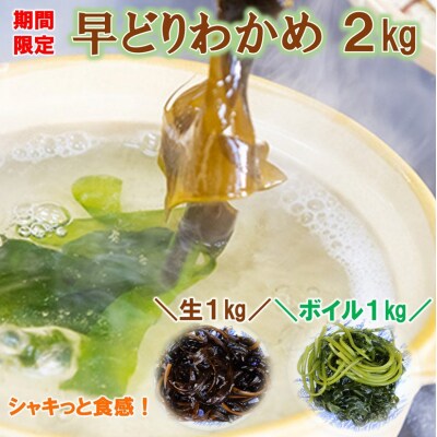 【期間限定】 岩手三陸 早どりわかめ 生ワカメ (1kg) & ボイルワカメ (1kg) セット