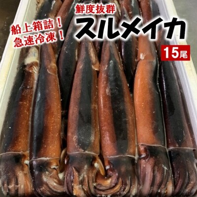 船上箱詰で急速冷凍!冷凍スルメイカ 大サイズ 1箱15尾入 鮮度抜群!