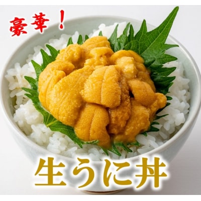 【期間限定】【漁師厳選】 普代産 生うに60g 瓶入り ミョウバン不使用 塩水