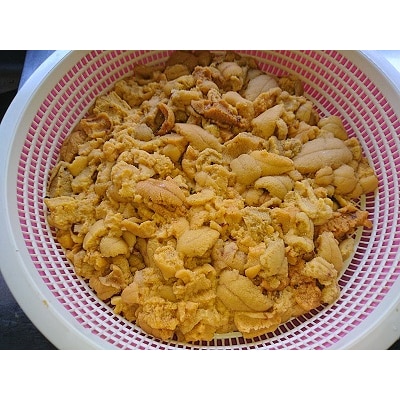 【期間限定】【漁師厳選】 普代産 生うに 60g×2本 ミョウバン不使用 塩水