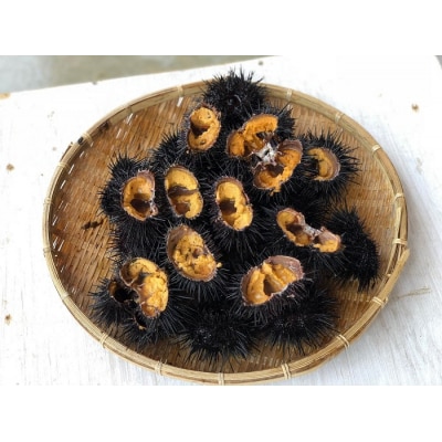 【期間限定】【漁師厳選】 普代産 生うに 60g×2本 ミョウバン不使用 塩水