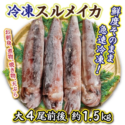 冷凍スルメイカ 大 4本前後 (約1.5kg)