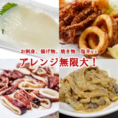 冷凍スルメイカ 大 4本前後 (約1.5kg)